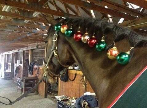 Horse Christmas Decorations